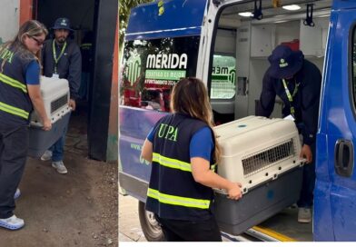 Oso y Blanquis vuelven al CEMAA: su tutor los entregó voluntariamente